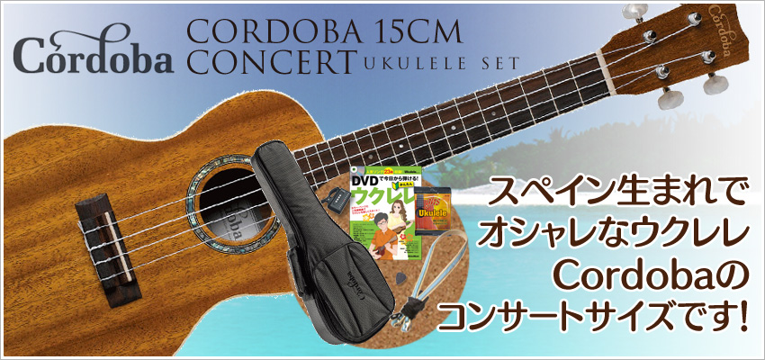 ウクレレ初心者セット ウクレレ通販専門店 K-Ukulele Box [ケー